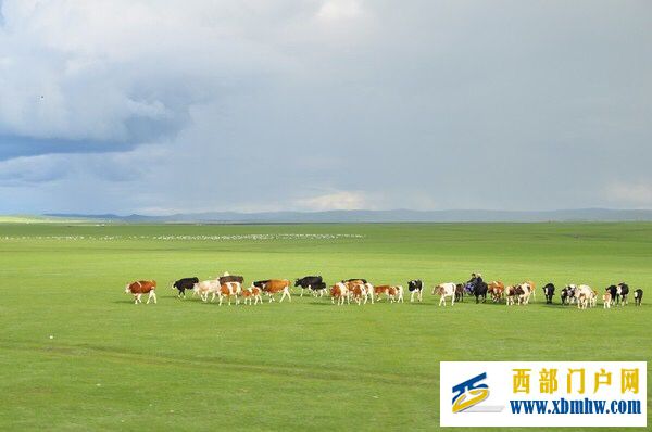 呼伦贝尔及主要景点介绍(图9) 呼伦贝尔及主要景点介绍(图9)