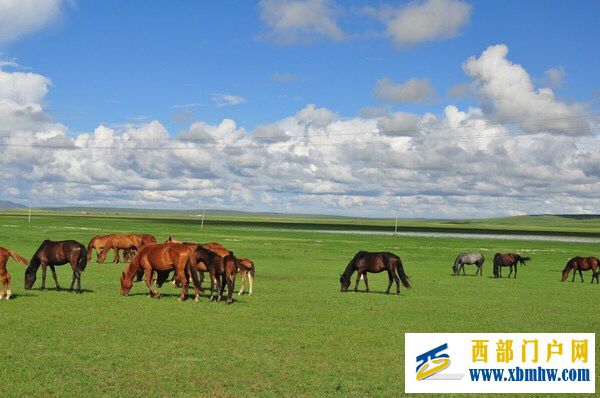 呼伦贝尔及主要景点介绍(图17) 呼伦贝尔及主要景点介绍(图17)