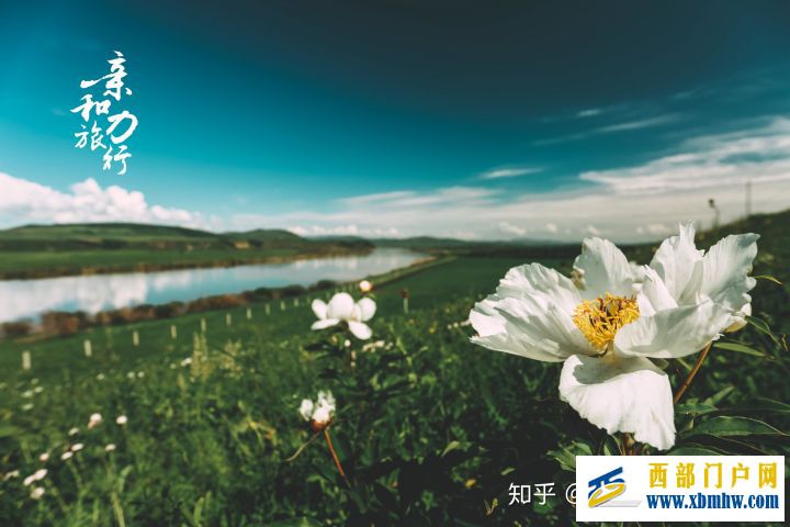 呼伦贝尔6日游详细攻略-呼伦贝尔旅游十大旅游景点推荐(图12) 呼伦贝尔6日游详细攻略-呼伦贝尔旅游十大旅游景点推荐(图12)