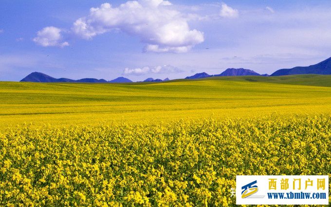 2021年呼伦贝尔旅游攻略,呼伦贝尔深度6日游,(景...(图7) 2021年呼伦贝尔旅游攻略,呼伦贝尔深度6日游,(景...(图7)