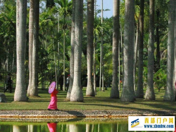 西双版纳旅游攻略——出发前必看指南(图8) 西双版纳旅游攻略——出发前必看指南(图8)