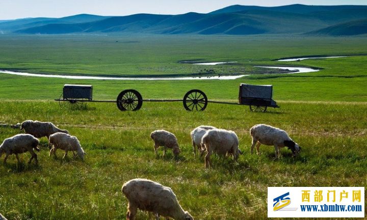 呼伦贝尔大草原在内蒙古哪里属于哪个城市(图6) 呼伦贝尔大草原在内蒙古哪里属于哪个城市(图6)