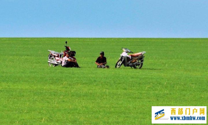 呼伦贝尔大草原在内蒙古哪里属于哪个城市(图7) 呼伦贝尔大草原在内蒙古哪里属于哪个城市(图7)