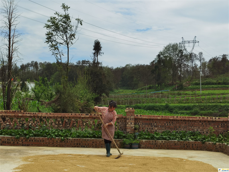 乡村振兴激发群众的积极性——贵阳推进宜居农房建设见闻(图1) 乡村振兴激发群众的积极性——贵阳推进宜居农房建设见闻(图1)