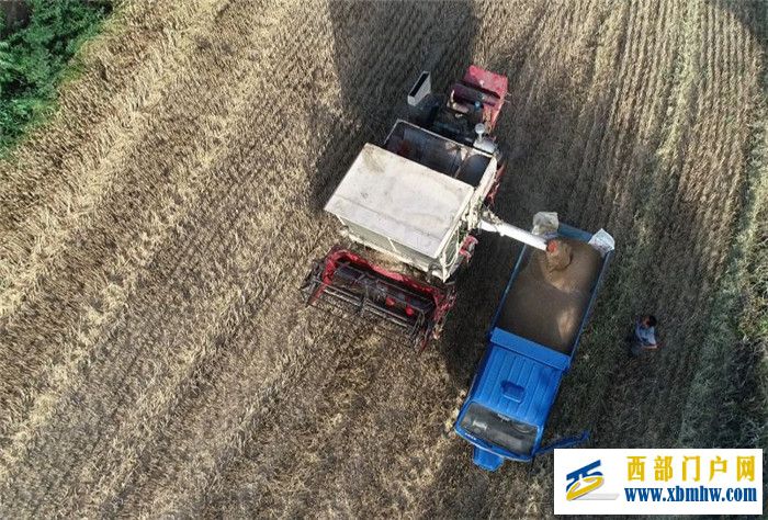 宝鸡麟游:部门联动确保夏粮颗粒归仓(图1) 宝鸡麟游:部门联动确保夏粮颗粒归仓(图1)