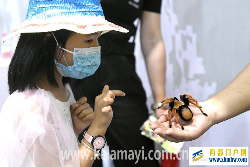 到克拉玛依科技馆来看看吧(图1) 到克拉玛依科技馆来看看吧(图1)