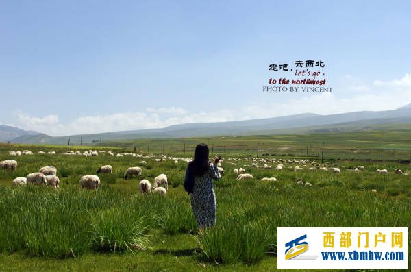 青海旅游地接导游告诉你如何找青海本地私人导游服务,了解青海旅游景点必去(图2) 青海旅游地接导游告诉你如何找青海本地私人导游服务,了解青海旅游景点必去(图2)