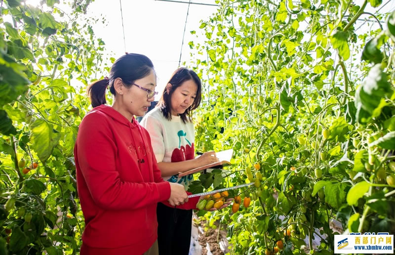 呼和浩特:打造人才“引擎” “赋能”乡村振兴(图1) 呼和浩特:打造人才“引擎” “赋能”乡村振兴(图1)