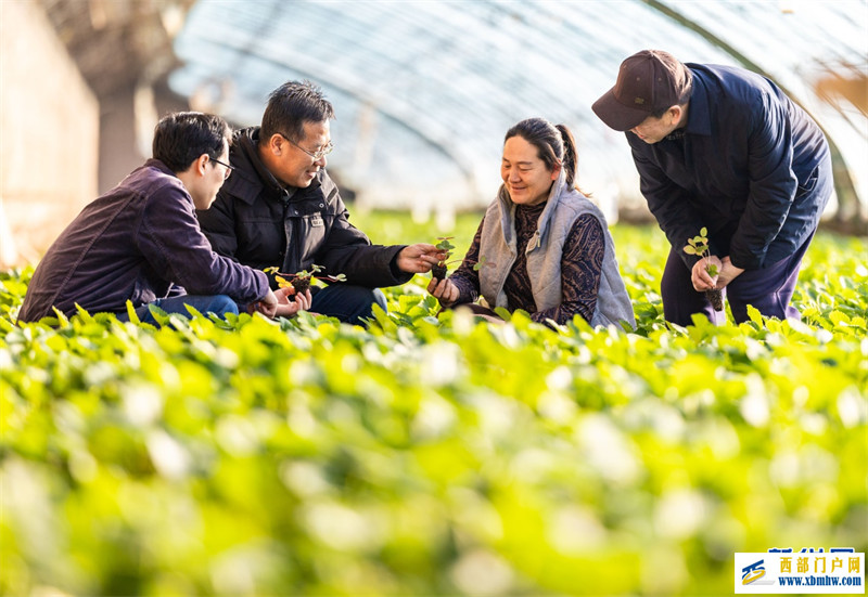 呼和浩特:打造人才“引擎” “赋能”乡村振兴(图4) 呼和浩特:打造人才“引擎” “赋能”乡村振兴(图4)