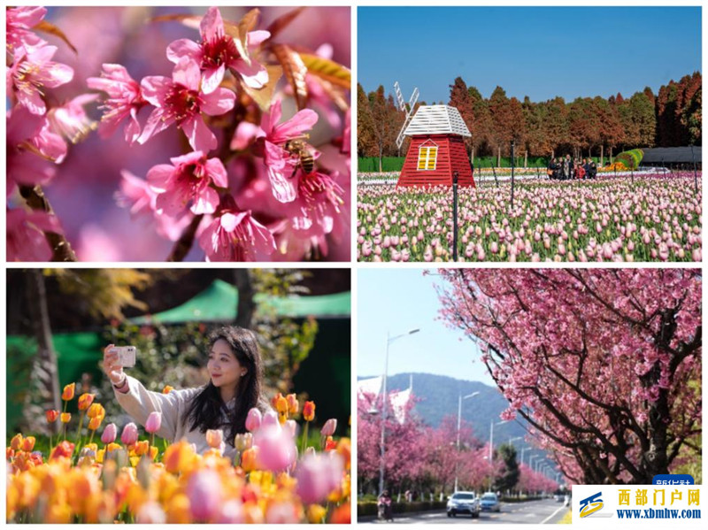 追光丨从0到1,无雪光顾的地方办冬运会了(图1) 追光丨从0到1,无雪光顾的地方办冬运会了(图1)