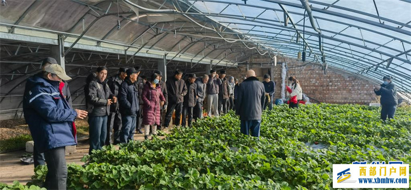 宁夏金凤区多举措推进党员冬季轮训(图2) 宁夏金凤区多举措推进党员冬季轮训(图2)