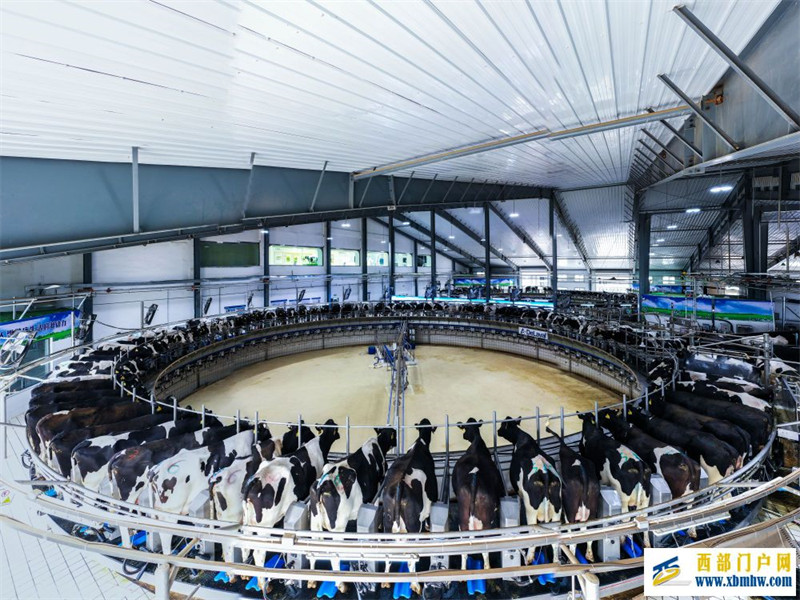 一盒牛奶的“零碳”之旅(图2) 一盒牛奶的“零碳”之旅(图2)