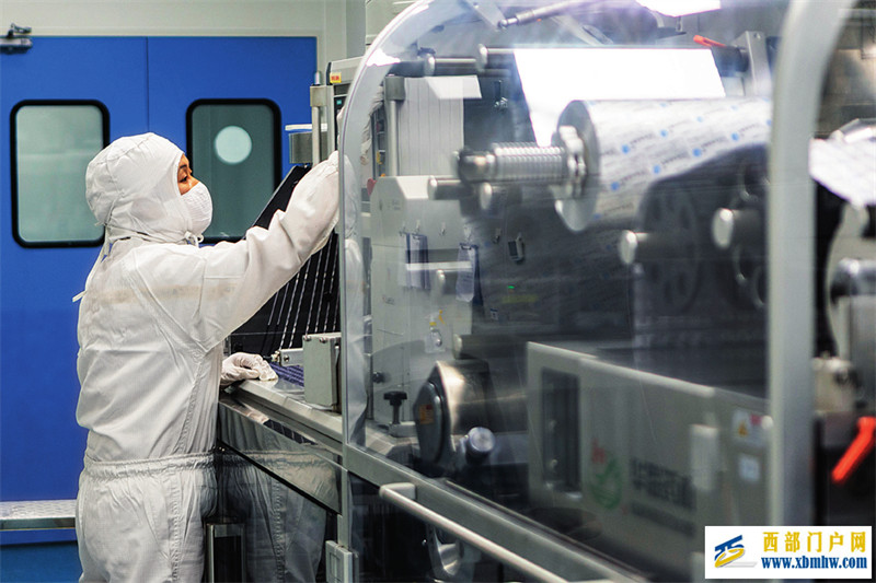 一个西部区县的民营经济培育经(图1) 一个西部区县的民营经济培育经(图1)