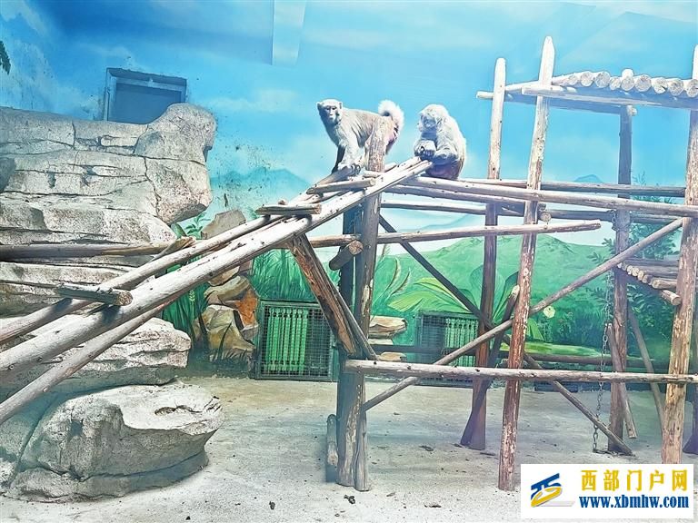 有空调通暖气——兰州野生动物园的动物这样过冬(图2) 有空调通暖气——兰州野生动物园的动物这样过冬(图2)