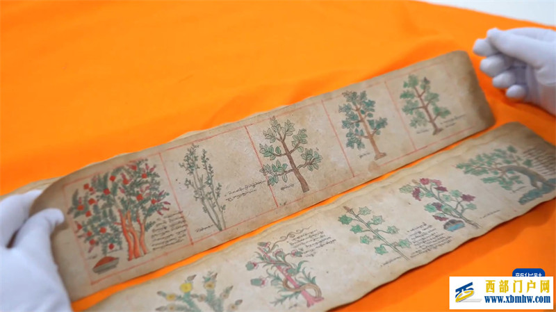 藏医药古籍在博物馆焕发新生(图3) 藏医药古籍在博物馆焕发新生(图3)