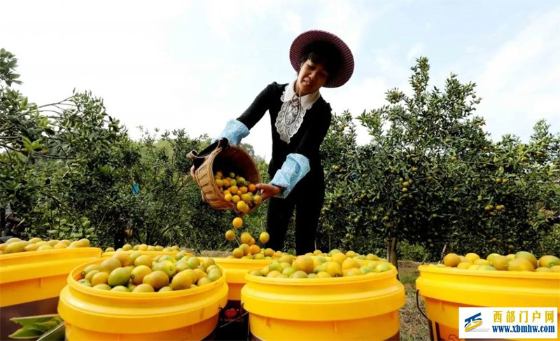 广西12个地理标志品牌入围中国区域品牌百强榜(图7) 广西12个地理标志品牌入围中国区域品牌百强榜(图7)