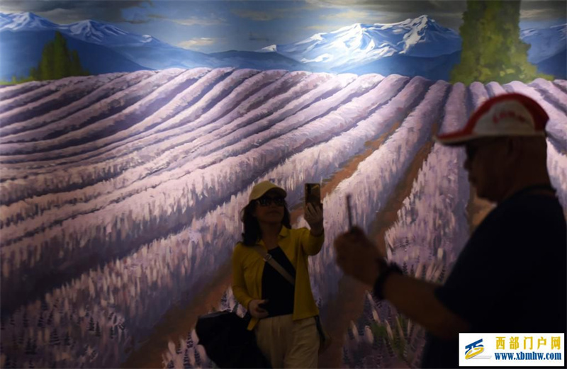 新疆霍城:薰衣草做成大产业(图11) 新疆霍城:薰衣草做成大产业(图11)