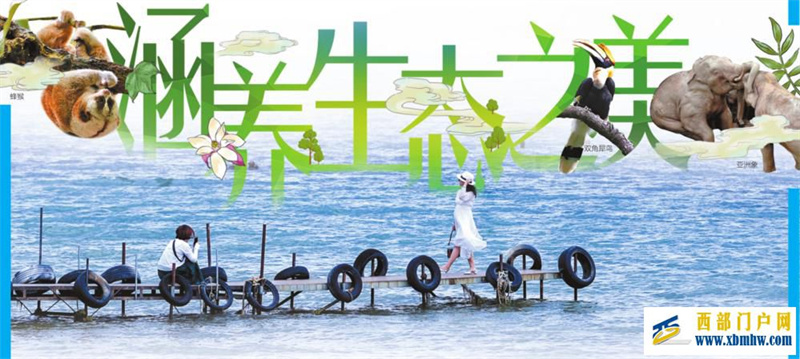 云南:以“组合拳”筑牢生态保护之基(图1) 云南:以“组合拳”筑牢生态保护之基(图1)