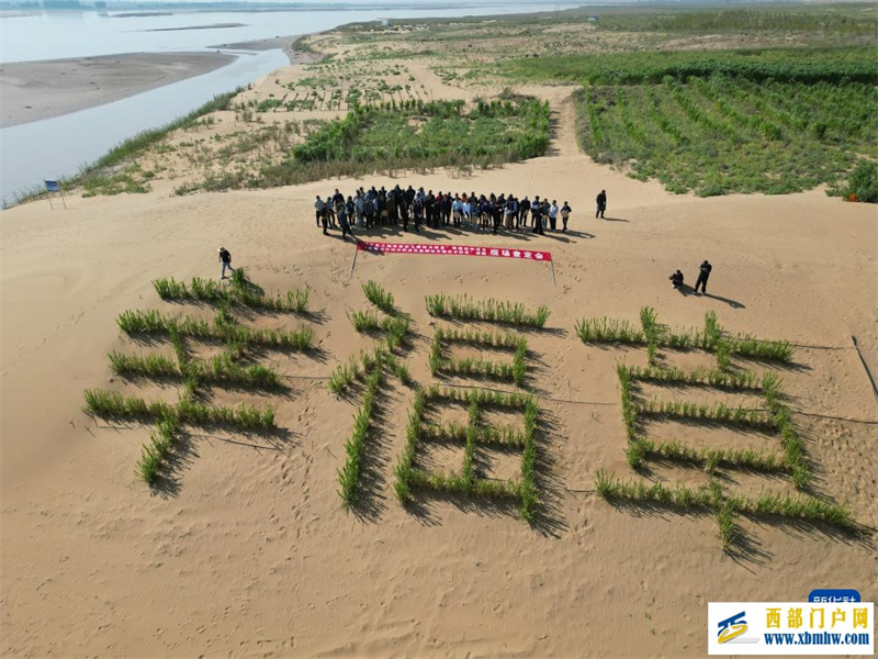 黄河菌草生态安全屏障建设现场座谈会在内蒙古举行(图1)