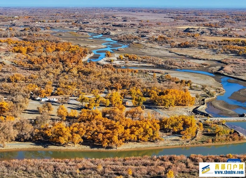 额济纳:金秋胡杨别样美(图1) 额济纳:金秋胡杨别样美(图1)
