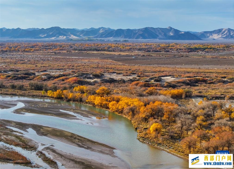 额济纳:金秋胡杨别样美(图4) 额济纳:金秋胡杨别样美(图4)