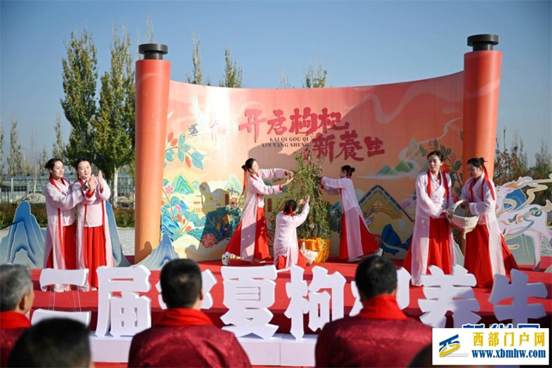 第二届宁夏枸杞养生节在银川举行(图1) 第二届宁夏枸杞养生节在银川举行(图1)