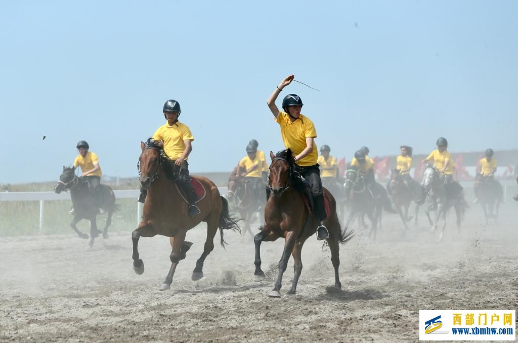 盛夏时节 在新疆昭苏领略万马奔腾(图5) 盛夏时节 在新疆昭苏领略万马奔腾(图5)