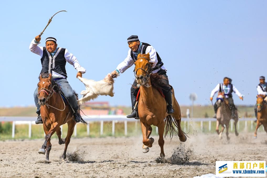 盛夏时节 在新疆昭苏领略万马奔腾(图8) 盛夏时节 在新疆昭苏领略万马奔腾(图8)
