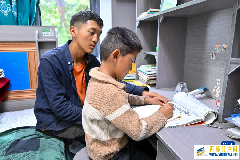 辉煌60载 魅力新西藏|西藏朗县:农房更新展笑颜(图5) 辉煌60载 魅力新西藏|西藏朗县:农房更新展笑颜(图5)