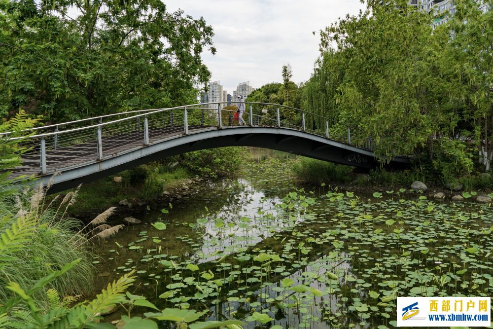 在成都｜从晨曦到夜色，感受生态之城的绿色脉搏(图25)