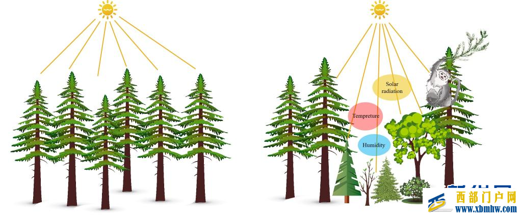 研究发现滇金丝猴是“生态工程师”(图1)