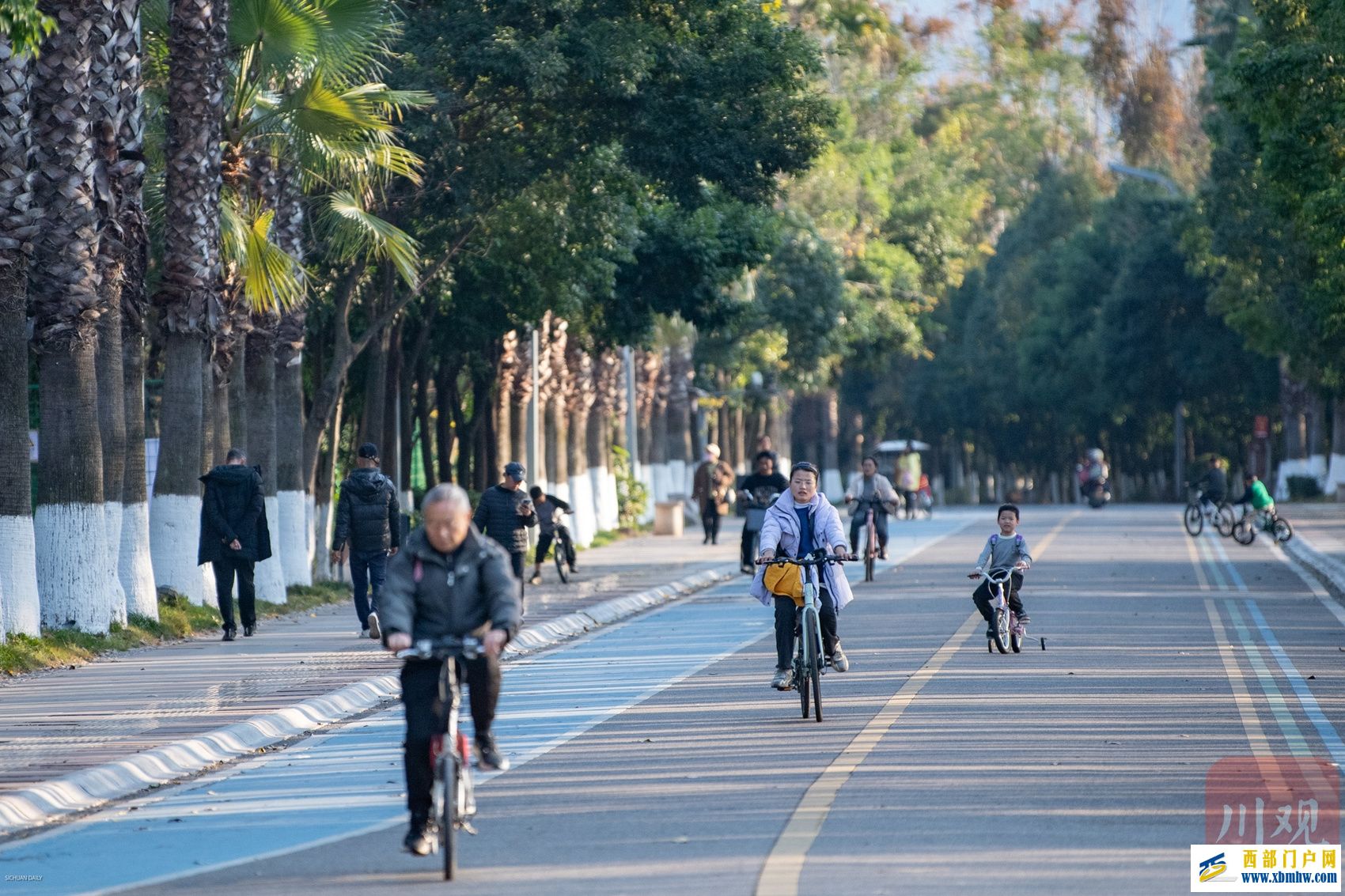西昌邛海喊你来过“暖冬” 骑上单车闯入一片刺桐花海(图3)