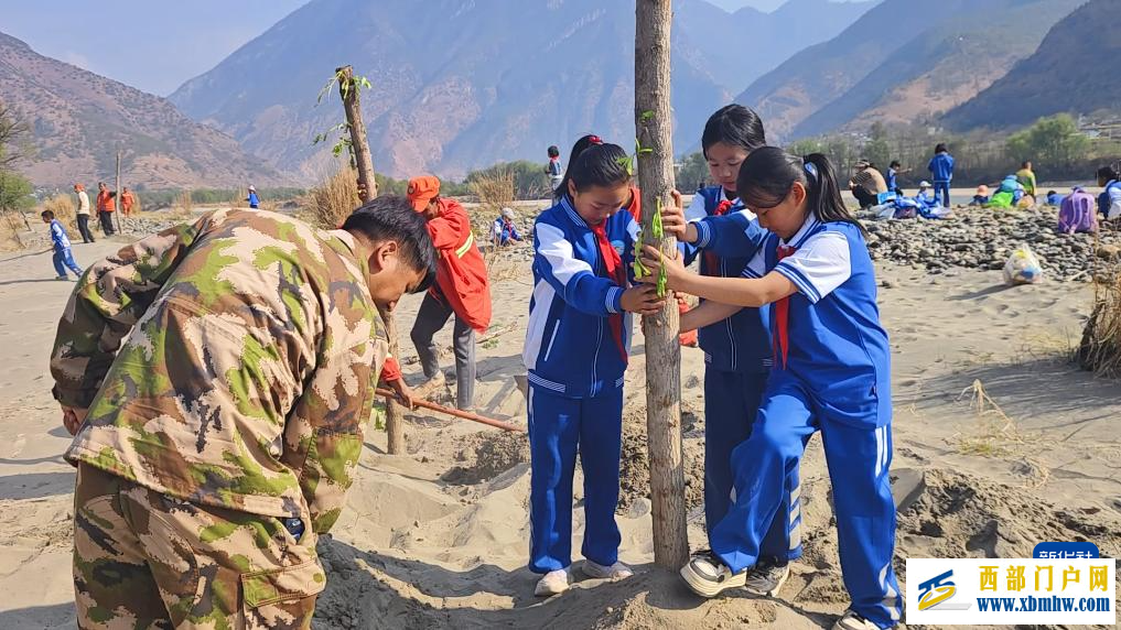 云南多地开展植树活动(图2) 云南多地开展植树活动(图2)