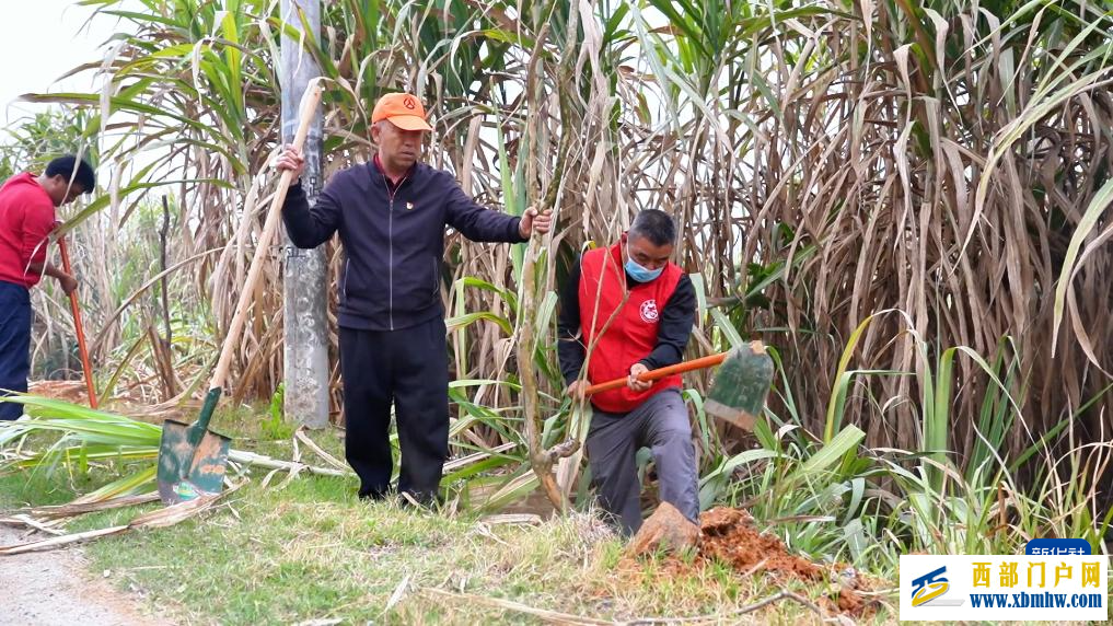 云南多地开展植树活动(图3) 云南多地开展植树活动(图3)