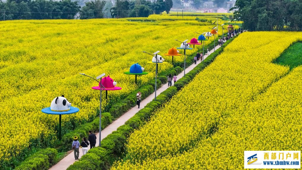 重庆潼南:油菜花开迎客来(图1) 重庆潼南:油菜花开迎客来(图1)