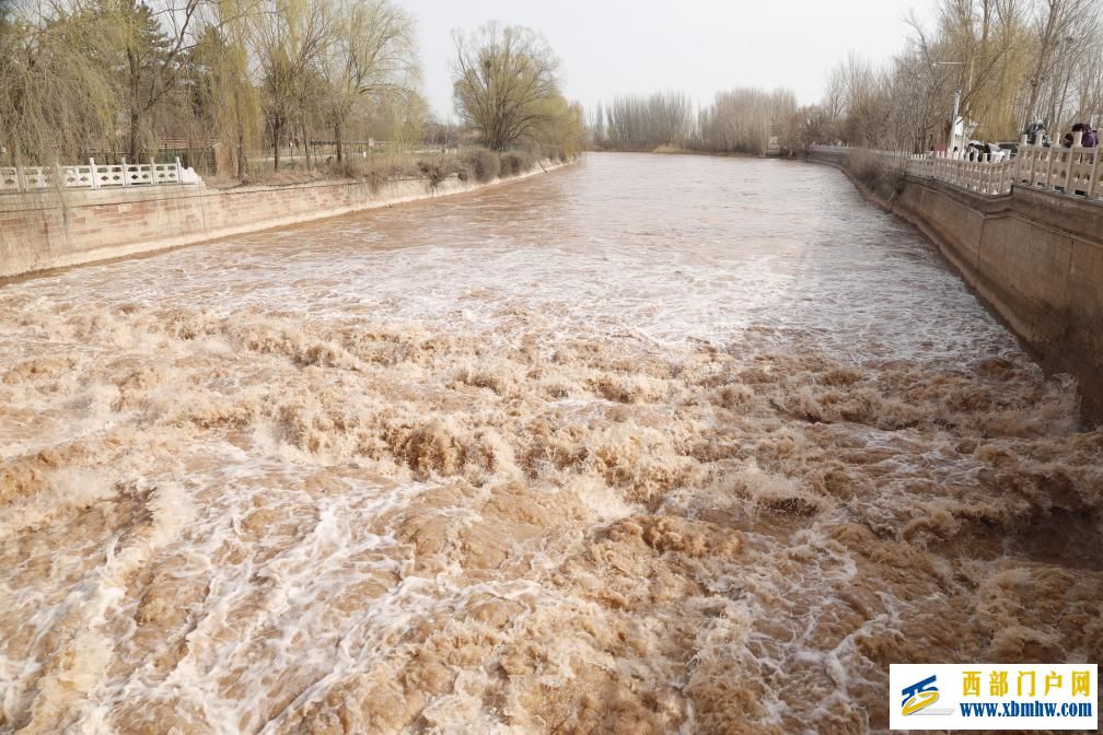 宁夏:引黄灌区正式开闸 河湖田野“喝饱”春水(图3) 宁夏:引黄灌区正式开闸 河湖田野“喝饱”春水(图3)
