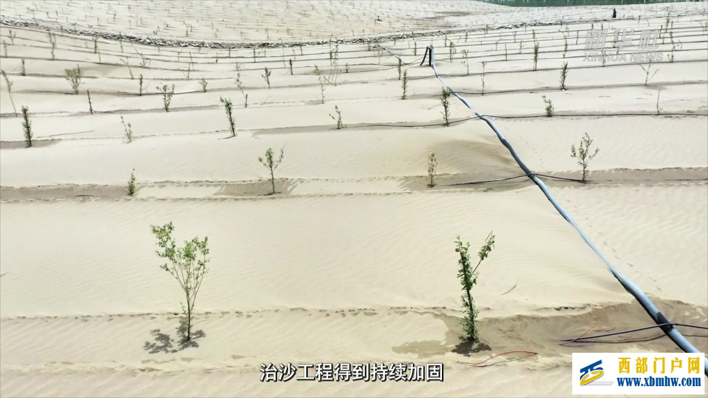 新疆和田市:不负好春光 添绿正当时(图3) 新疆和田市:不负好春光 添绿正当时(图3)