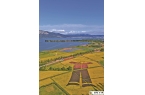 滇池北岸的“大地油画”迎来最佳观赏期